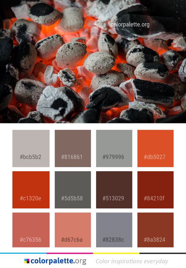 Charcoal Animal Source Foods Coal Color Palette