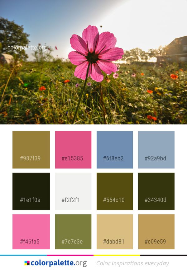 Flower Flora Pink Color Palette
