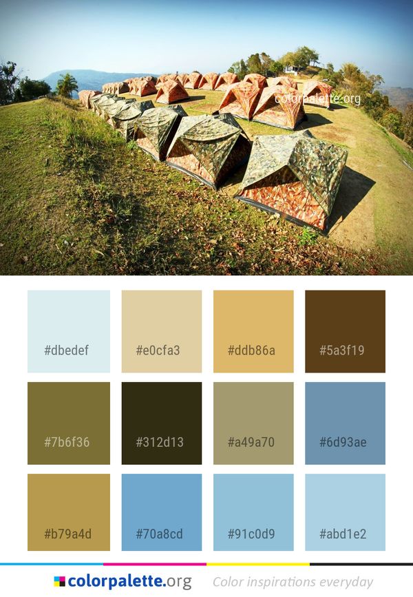 Grass Sky Leaf Color Palette