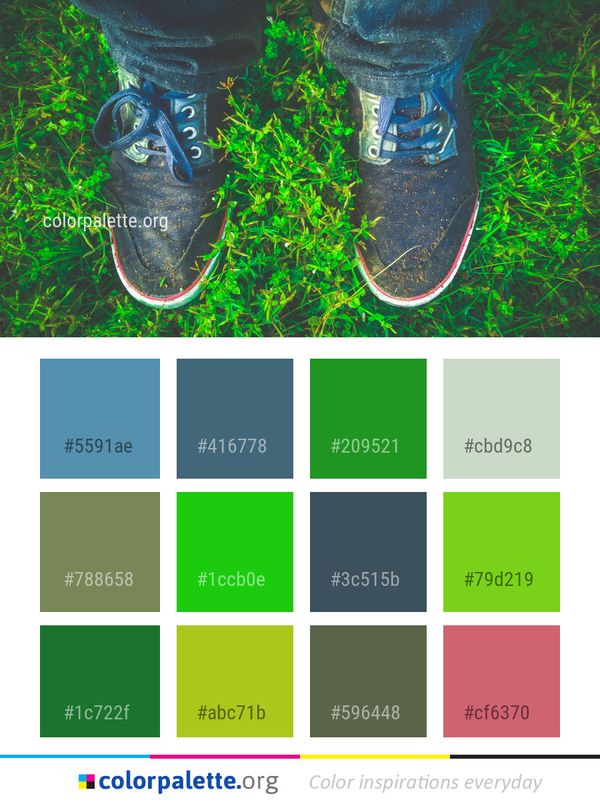 Green Grass Plant Color Palette