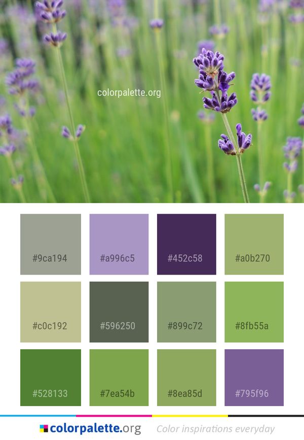 Lavender English Flower Color Palette