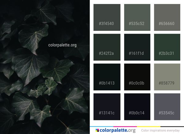 Leaf Plant Flora Color Palette