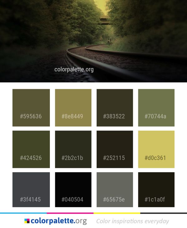 Nature Track Morning Color Palette