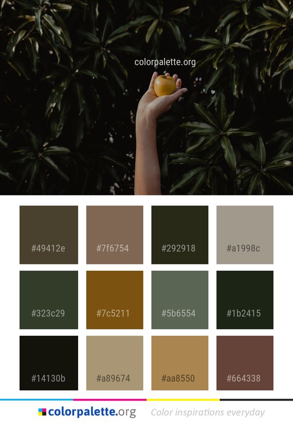 Plant Leaf Flora Color Palette