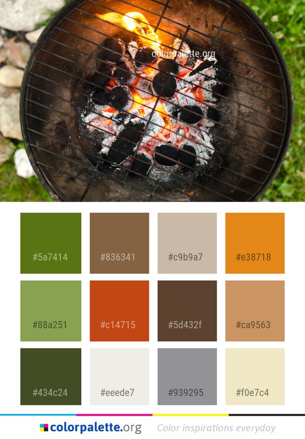 Barbecue Grilling Outdoor Grill Color Palette