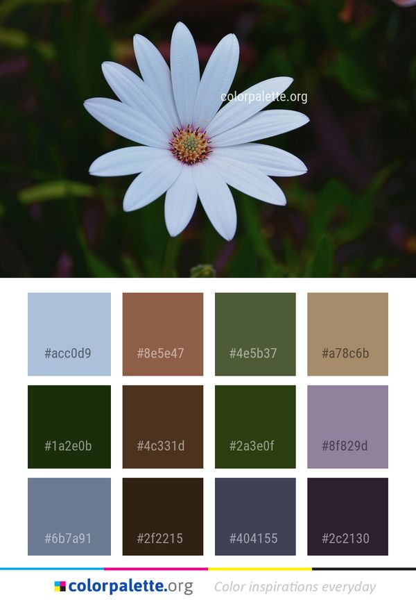 Flower Flora Plant Color Palette