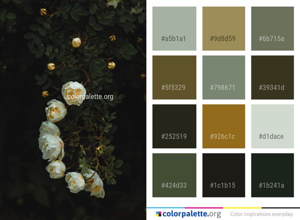 Flower Flora Still Life Photography Color Palette