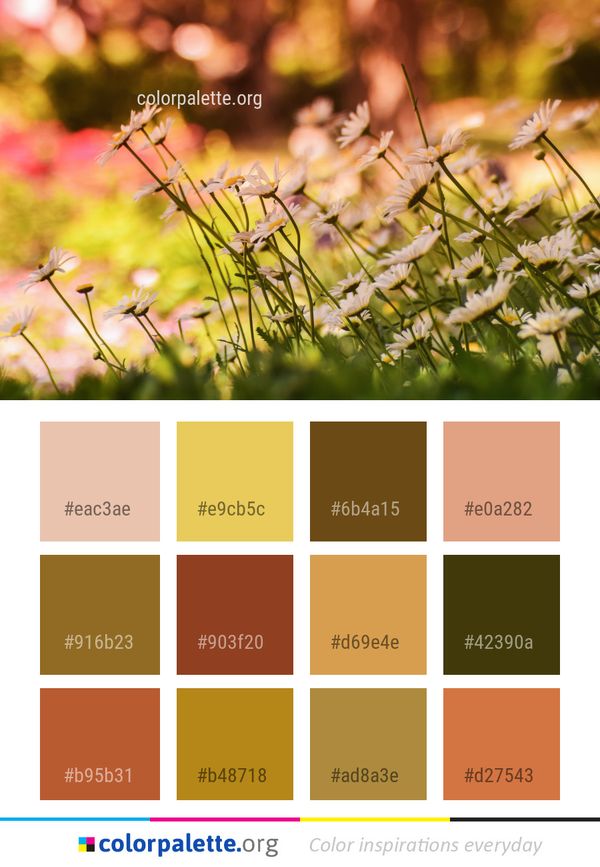 Flower Spring Flora Color Palette