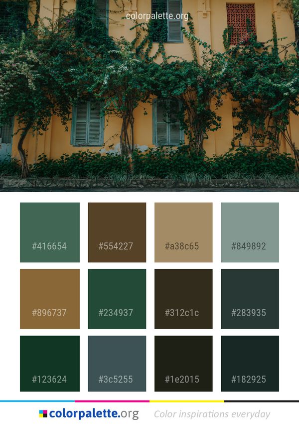 Green House Tree Color Palette