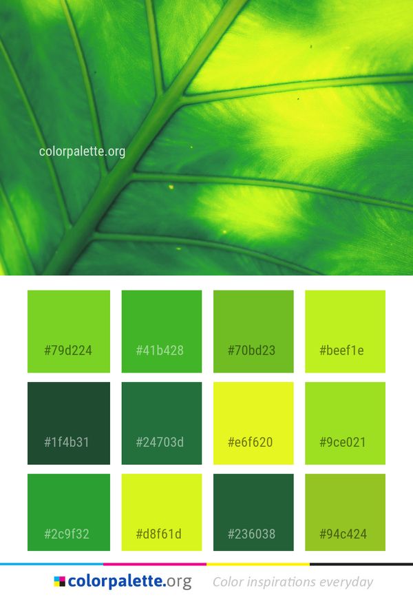 Green Leaf Water Color Palette