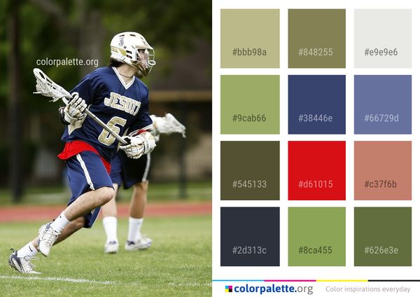 Lacrosse Training Equipment Stick Color Palette