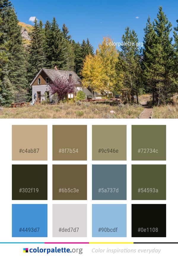 Nature Home Ecosystem Color Palette