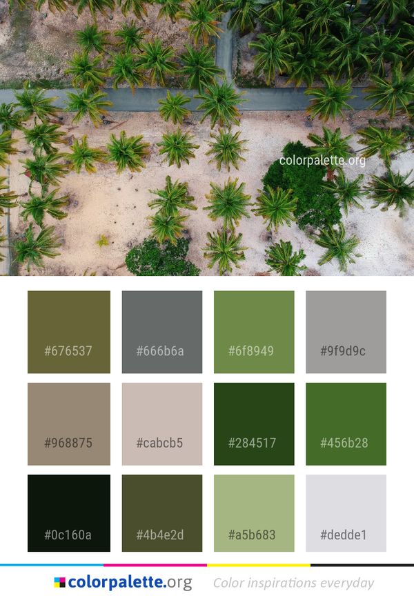 Plant Vegetation Flora Color Palette