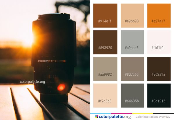 Reflection Light Morning Color Palette