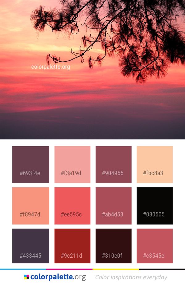 Sky Nature Branch Color Palette