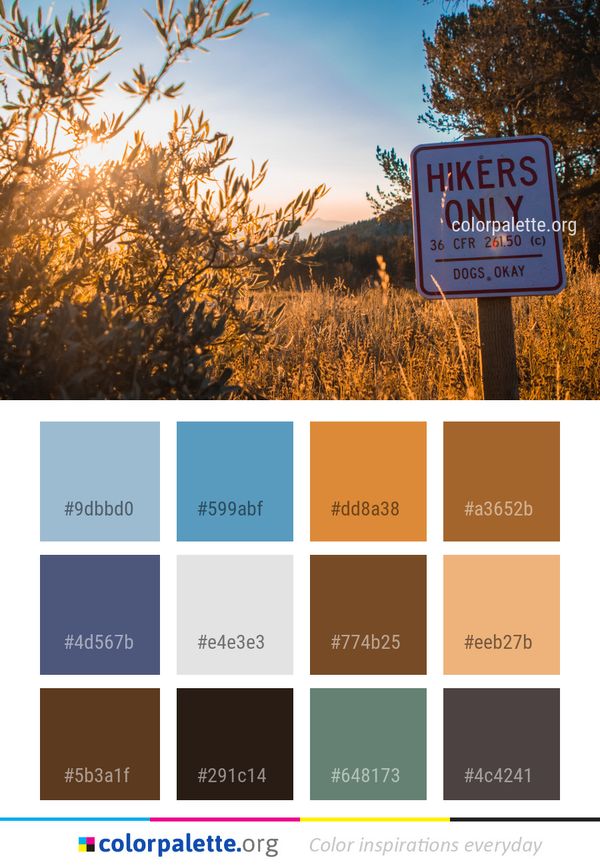 Sky Nature Tree Color Palette