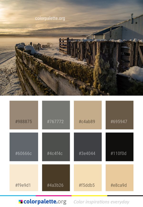 Sky Water Winter Color Palette