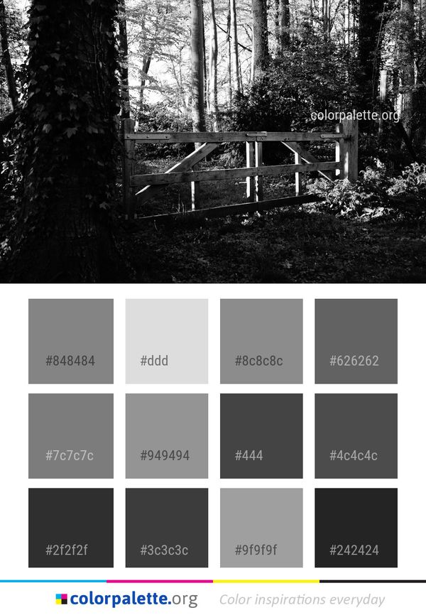 Tree Black Nature Color Palette
