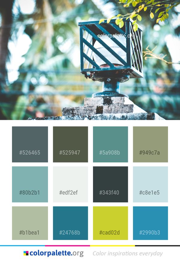 Tree Plant Color Palette