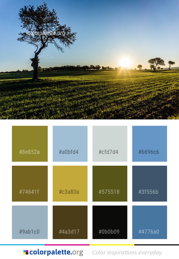 Tree Sky Field Color Palette