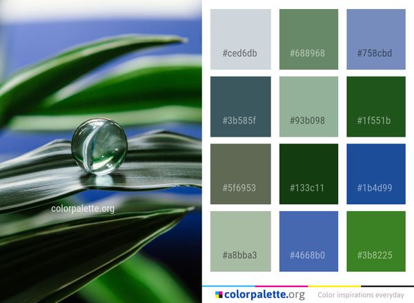 Water Drop Green Color Palette