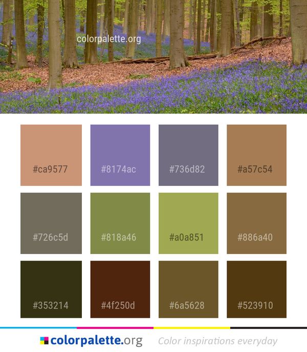 Woodland Ecosystem Flower Color Palette