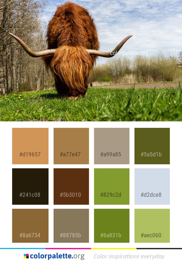 Horn Cattle Like Mammal Wildlife Color Palette