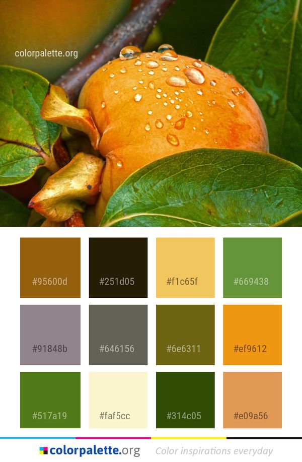 Leaf Macro Photography Close Up Color Palette