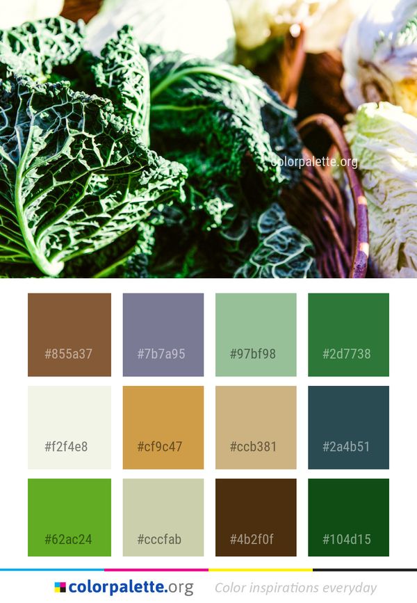 Leaf Vegetable Color Palette