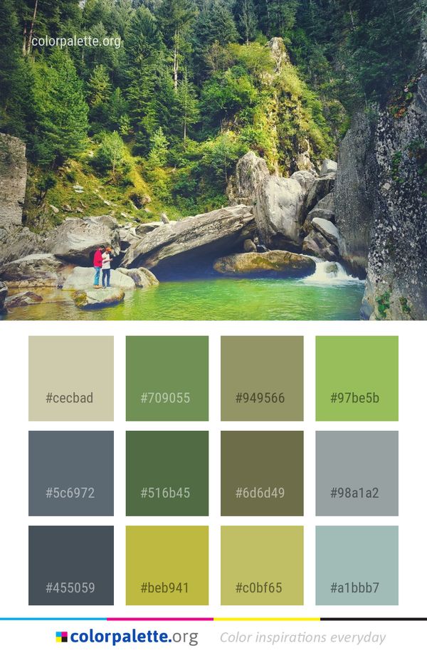 Nature Reserve Water Resources Color Palette