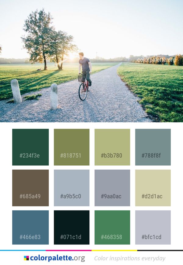 Path Nature Tree Color Palette