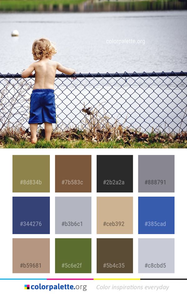 Photograph Water Vertebrate Color Palette