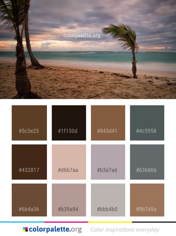 Sea Sky Body Of Water Color Palette