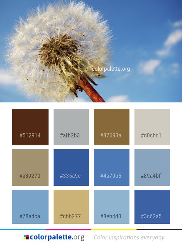 Sky Blue Flower Color Palette