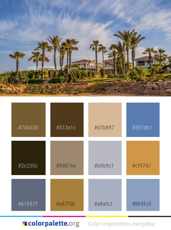Sky Palm Tree Arecales Color Palette