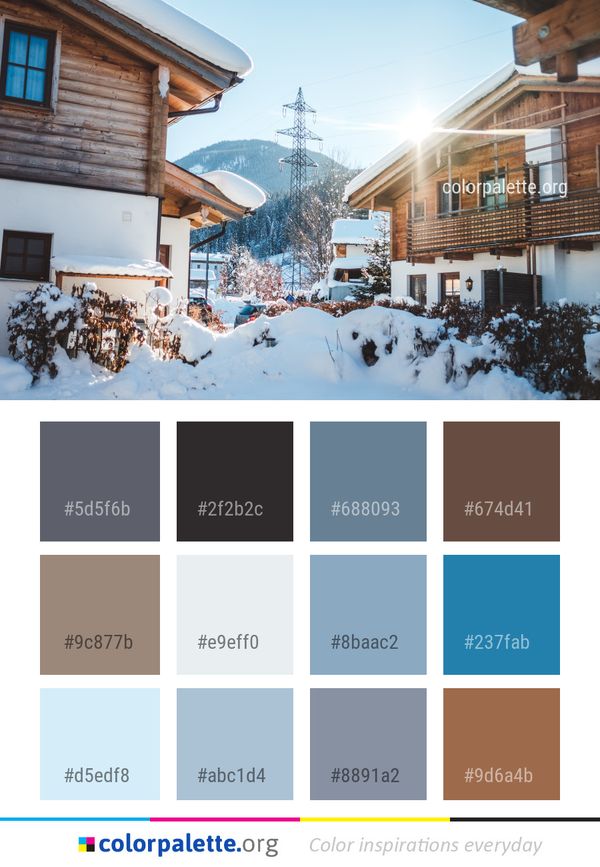 Snow Winter Home Color Palette