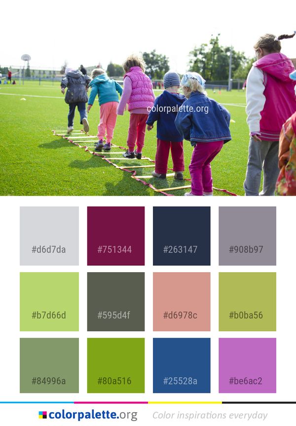 Sports Team Vertebrate Color Palette