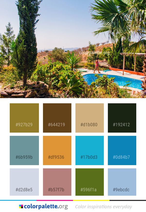Vegetation Tree Arecales Color Palette