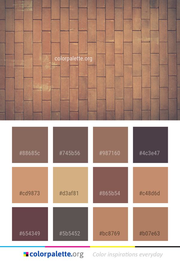 Wall Wood Stain Color Palette