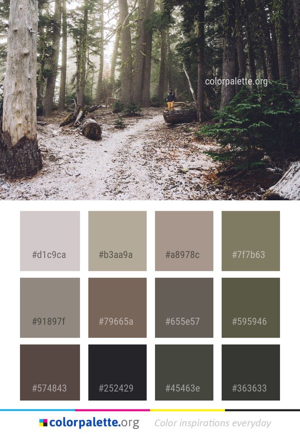 Woodland Tree Forest Color Palette