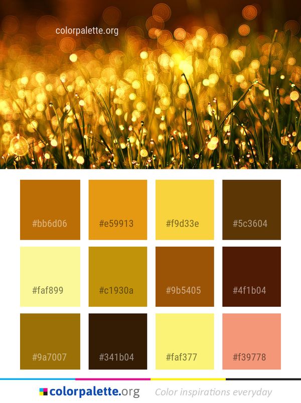 Yellow Light Lighting Color Palette