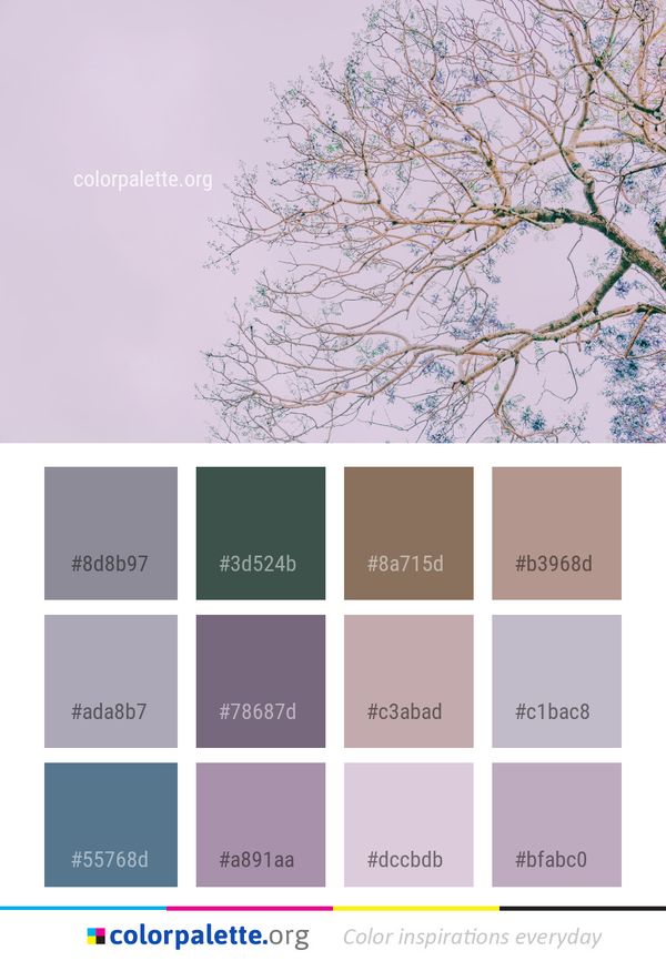 Branch Tree Sky Color Palette