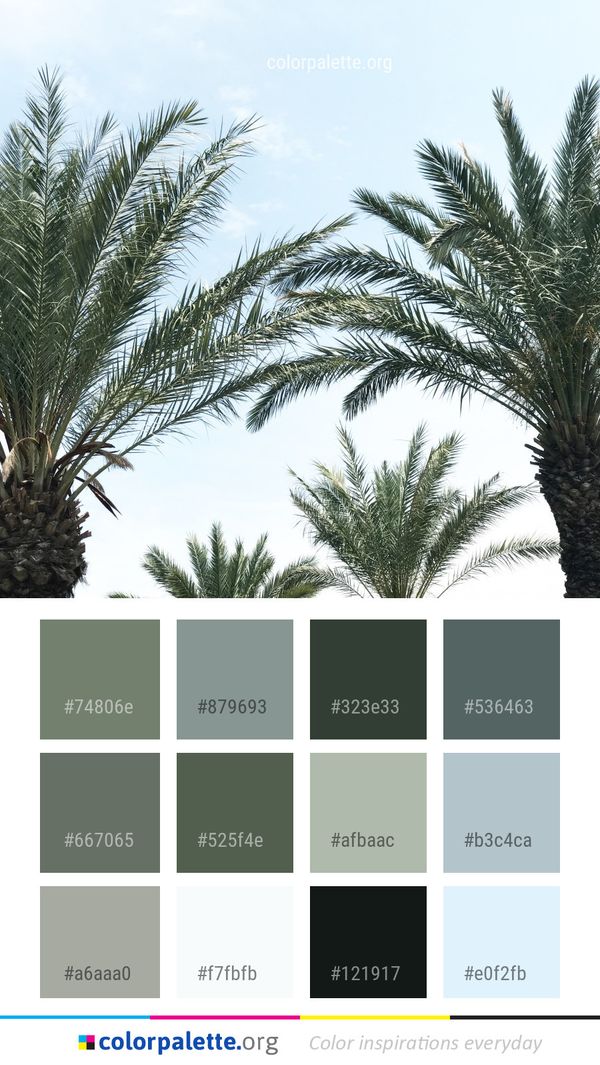 Date Palm Tree Plant Color Palette