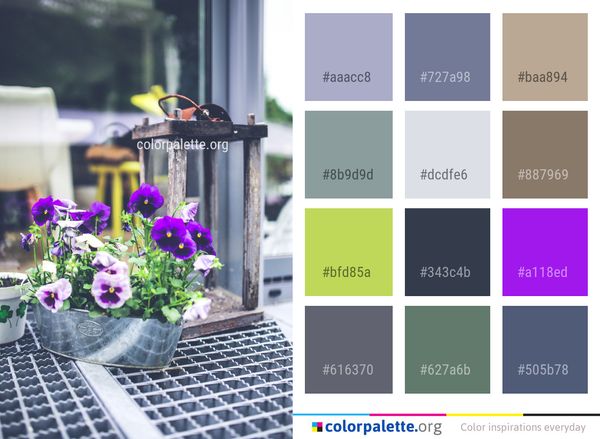 Flower Plant Purple Color Palette
