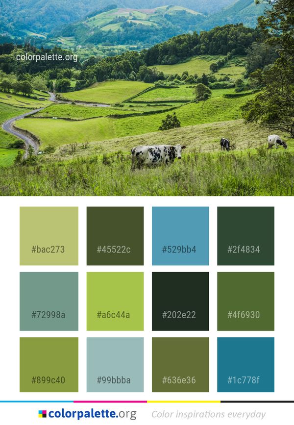 Grassland Pasture Highland Color Palette