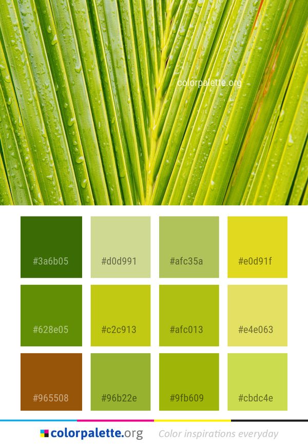 Green Leaf Plant Stem Color Palette