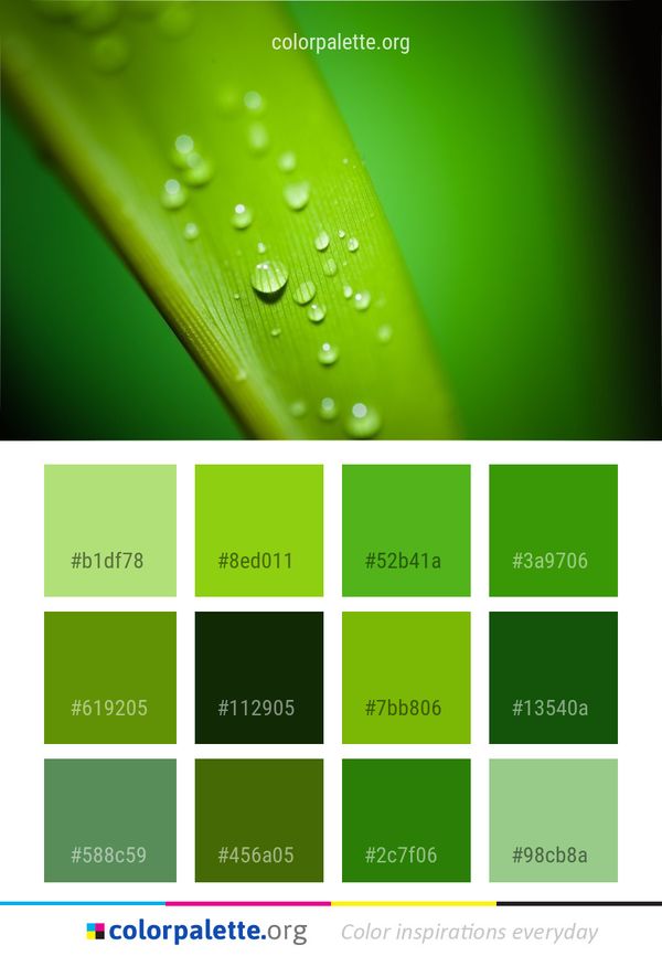 Green Water Dew Color Palette