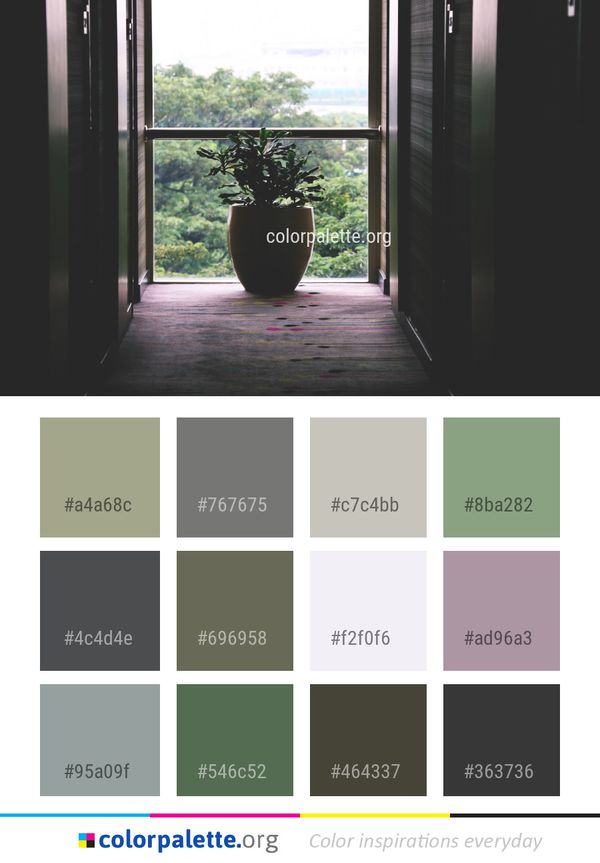 House Property Window Color Palette