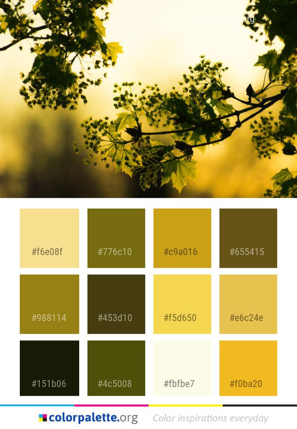 Leaf Nature Yellow Color Palette