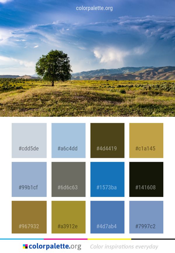 Sky Cloud Grassland Color Palette